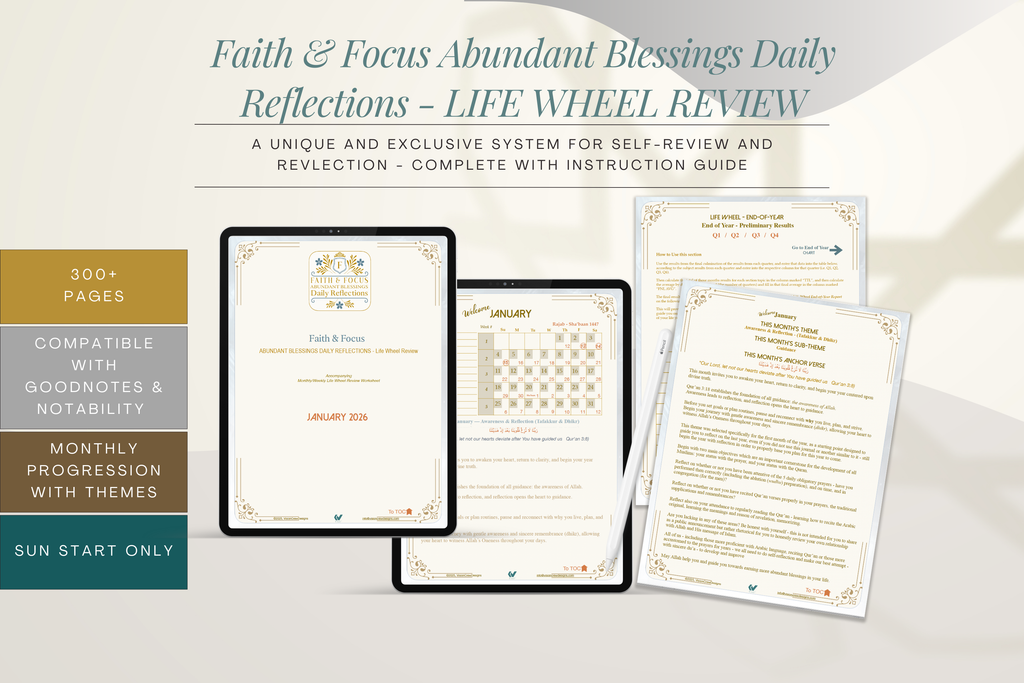 Faith & Focus Life Wheel Review System
