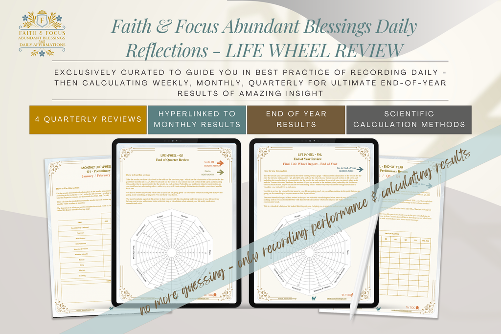 Faith & Focus Life Wheel Review System
