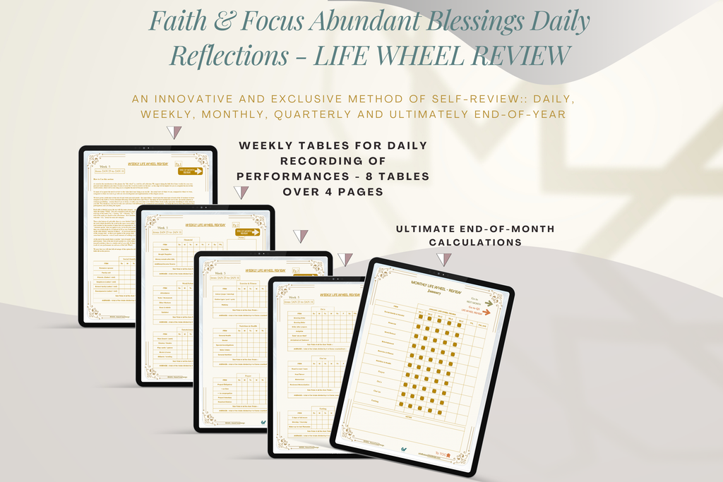 Faith & Focus Life Wheel Review System