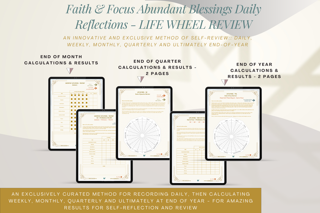Faith & Focus Life Wheel Review System