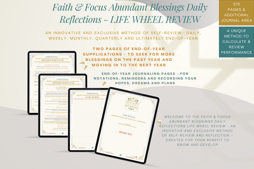 Faith & Focus Life Wheel Review System