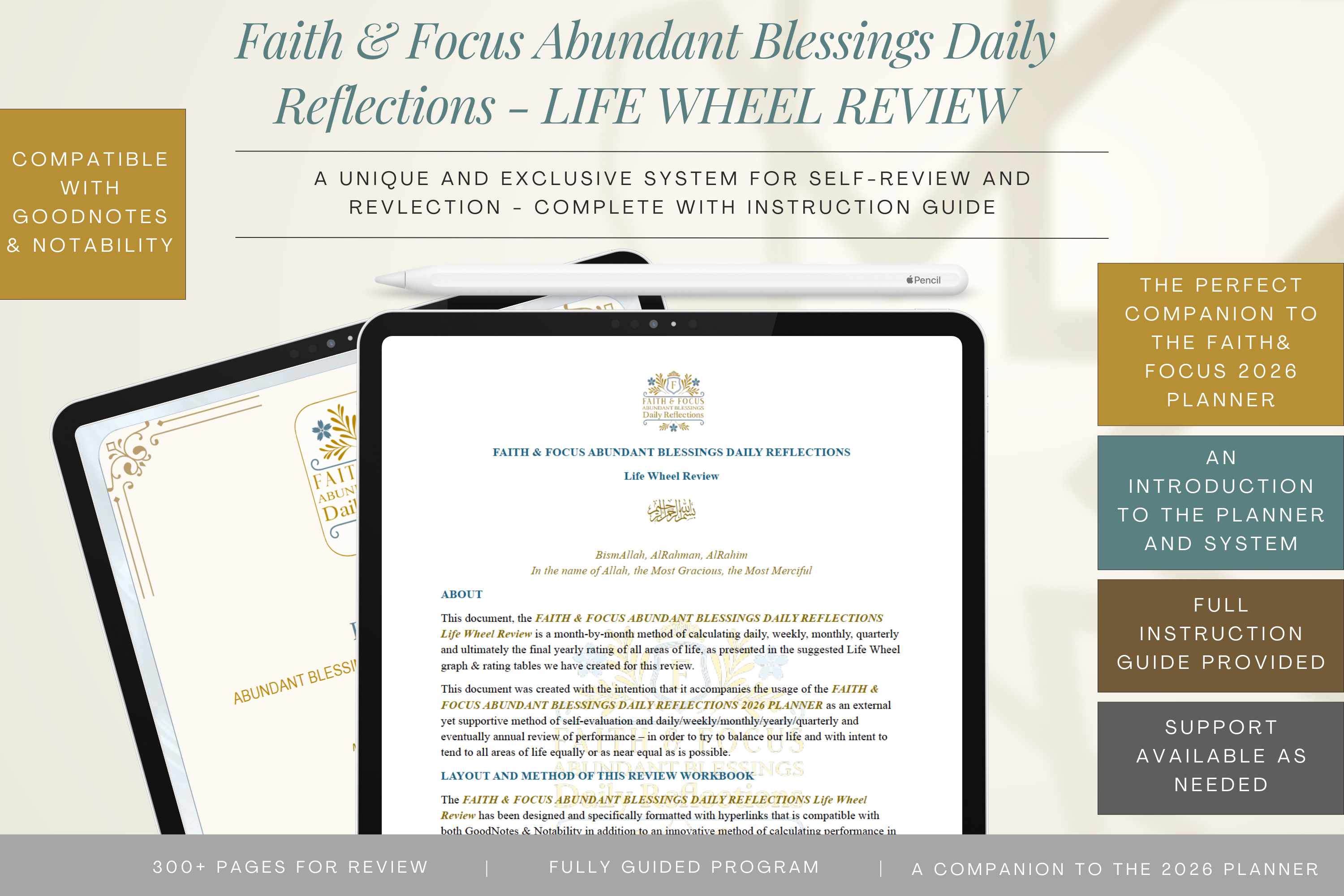 Faith & Focus Life Wheel Review System