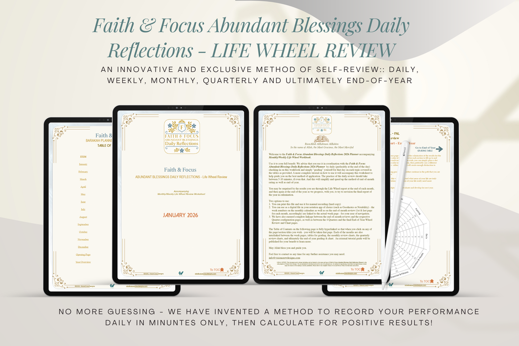 Faith & Focus Life Wheel Review System